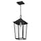 Quoizel Stoneleigh Outdoor Hanging 1 Light Mottled Black STNL1909MB - alternate 4